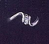 Footsies Adjustable Toe Rings