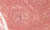 Footsies Nail Polish